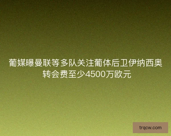 葡媒曝曼联等多队关注葡体后卫伊纳西奥 转会费至少4500万欧元