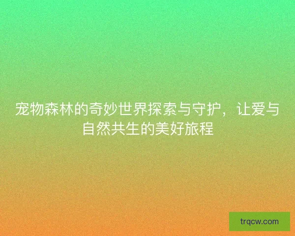 宠物森林的奇妙世界探索与守护，让爱与自然共生的美好旅程
