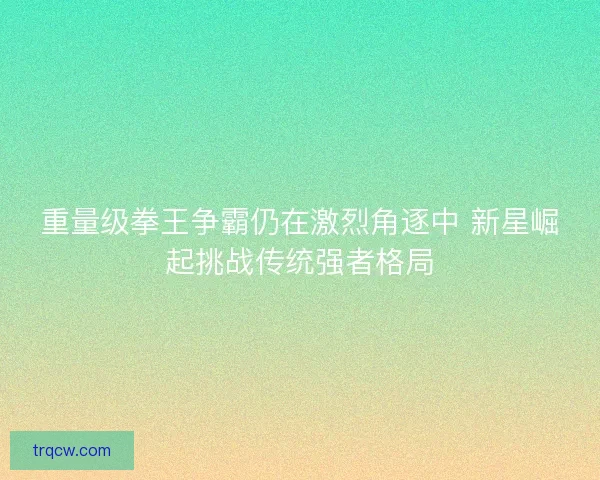 重量级拳王争霸仍在激烈角逐中 新星崛起挑战传统强者格局