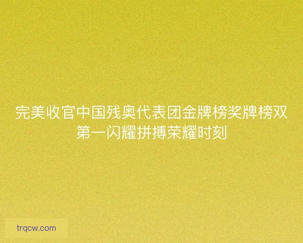 完美收官中国残奥代表团金牌榜奖牌榜双第一闪耀拼搏荣耀时刻