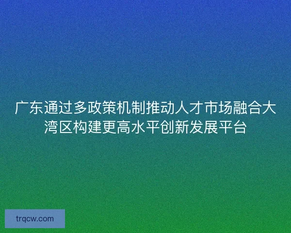广东通过多政策机制推动人才市场融合大湾区构建更高水平创新发展平台